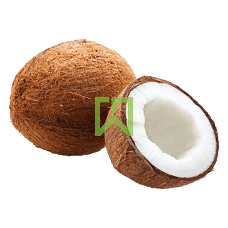 Coconut 1Pcs