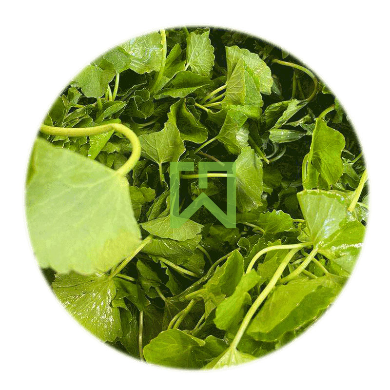 Gotukola 1kg