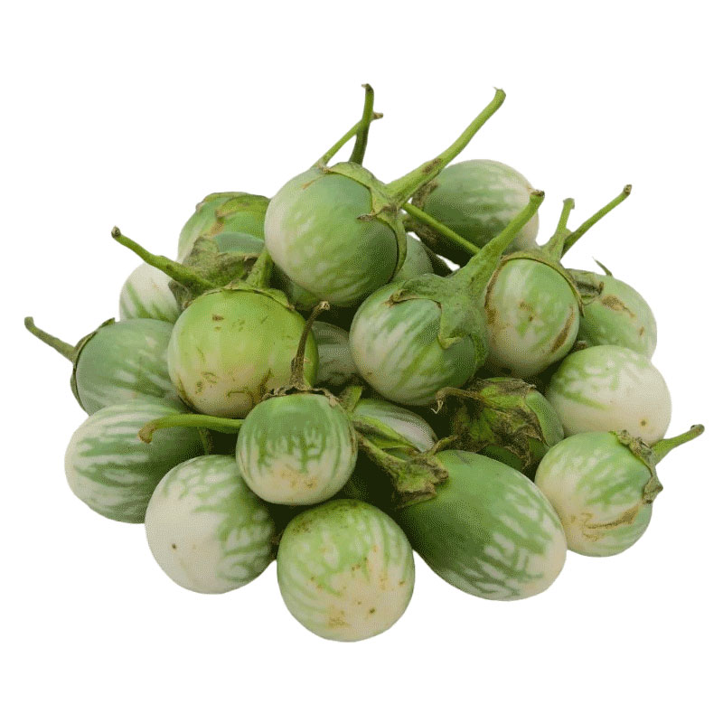 Thai Eggplant (Thalum Batu) 1kg
