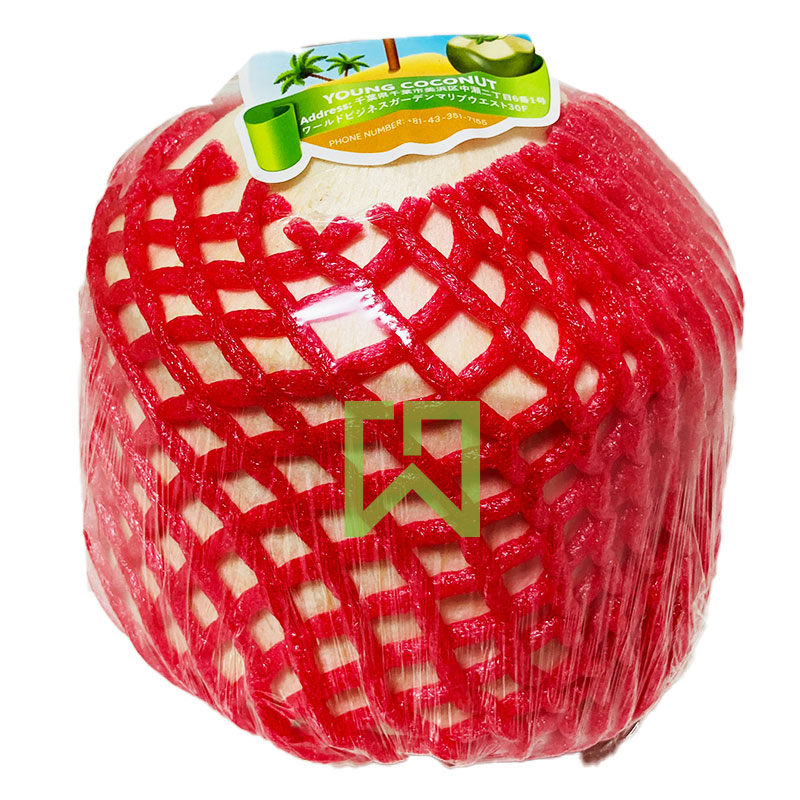 Young Coconut Whole 1pcs