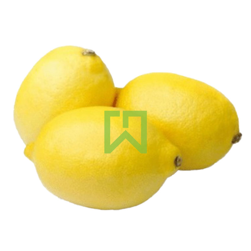 Lemon 1 Pack