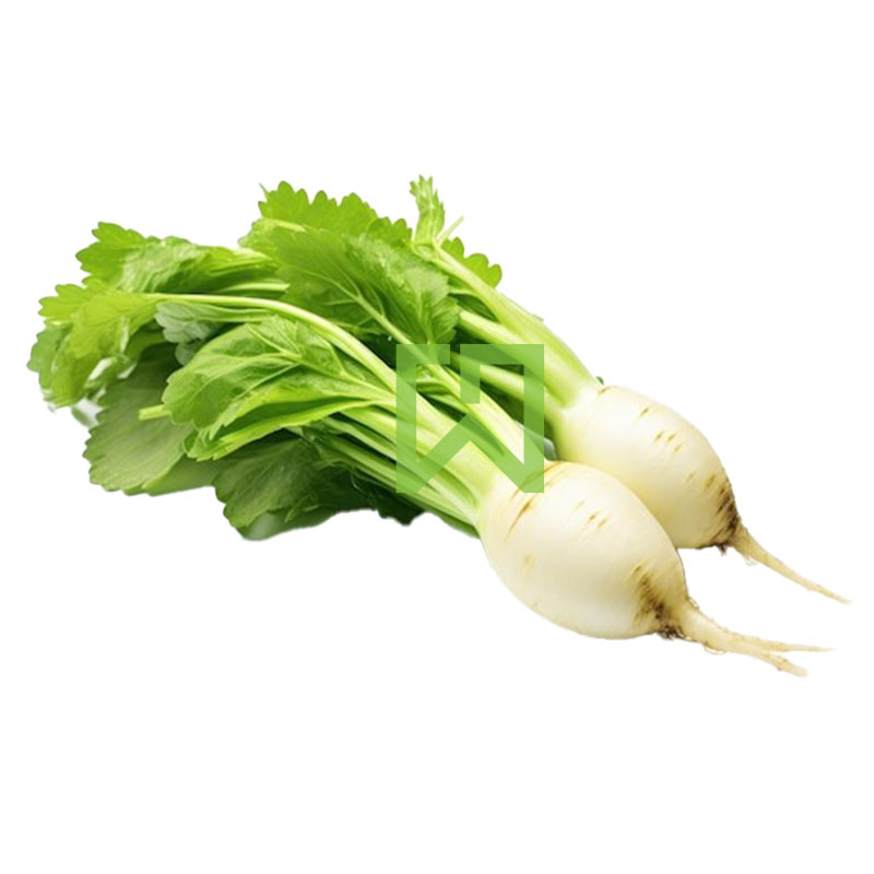 Raabu (Radeesh) 1 Pack
