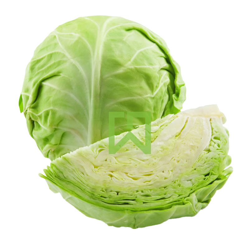 Cabbage 1 Pack